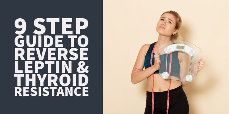 9 step guide to reverse leptin resistance