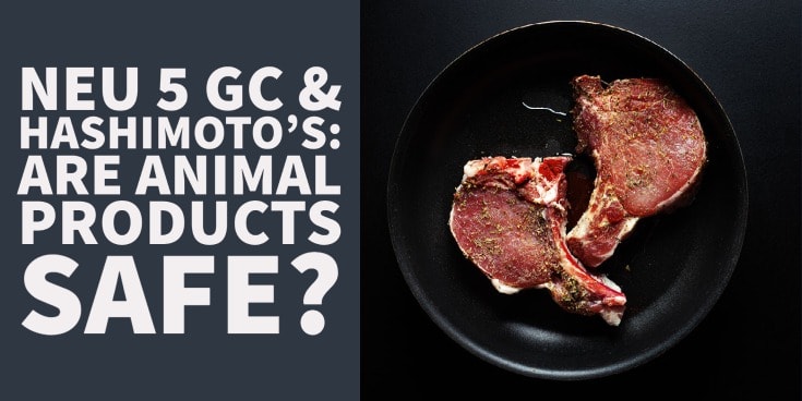 Neu 5 Gc & Hashimoto’s: Do Animal Products Make it Worse?