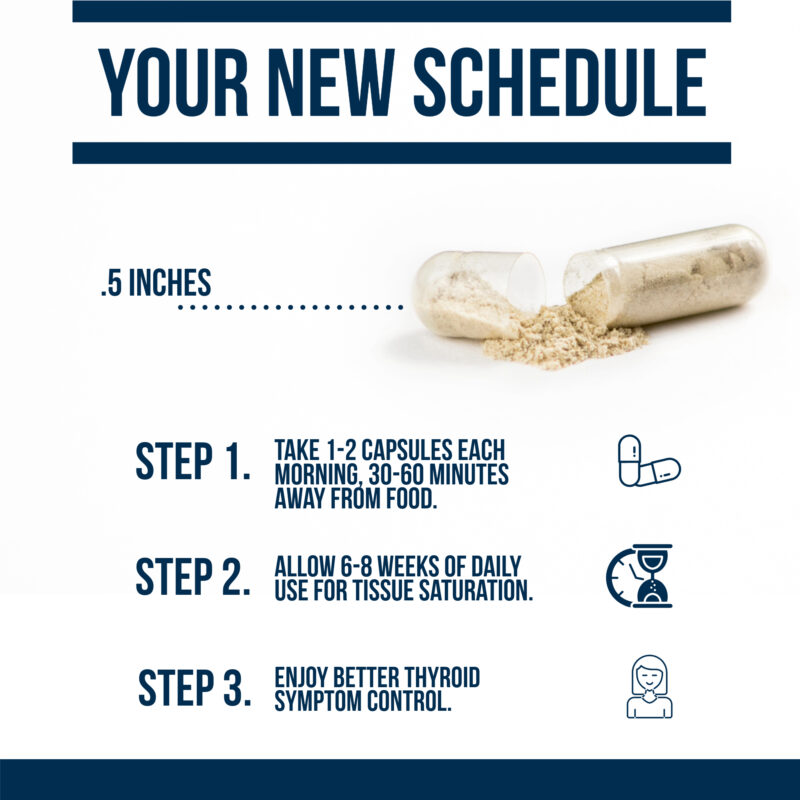 essential t2 your new schedule for taking thyroid support complex