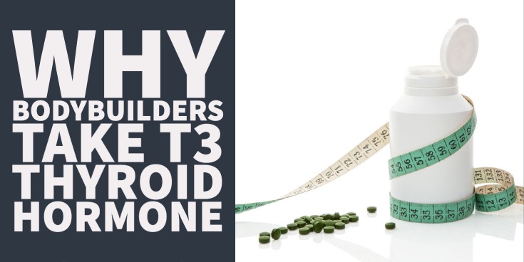 Why Bodybuilders Take T3 Thyroid Hormone