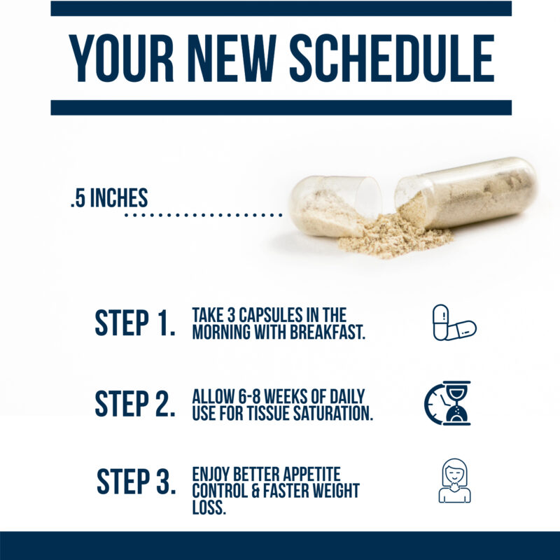 your new schedule when taking thyroid fat burner